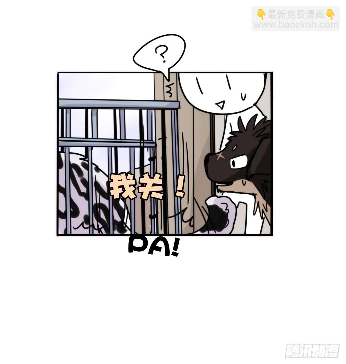 事业篇10：雪豹成为偶像！-4-第167话