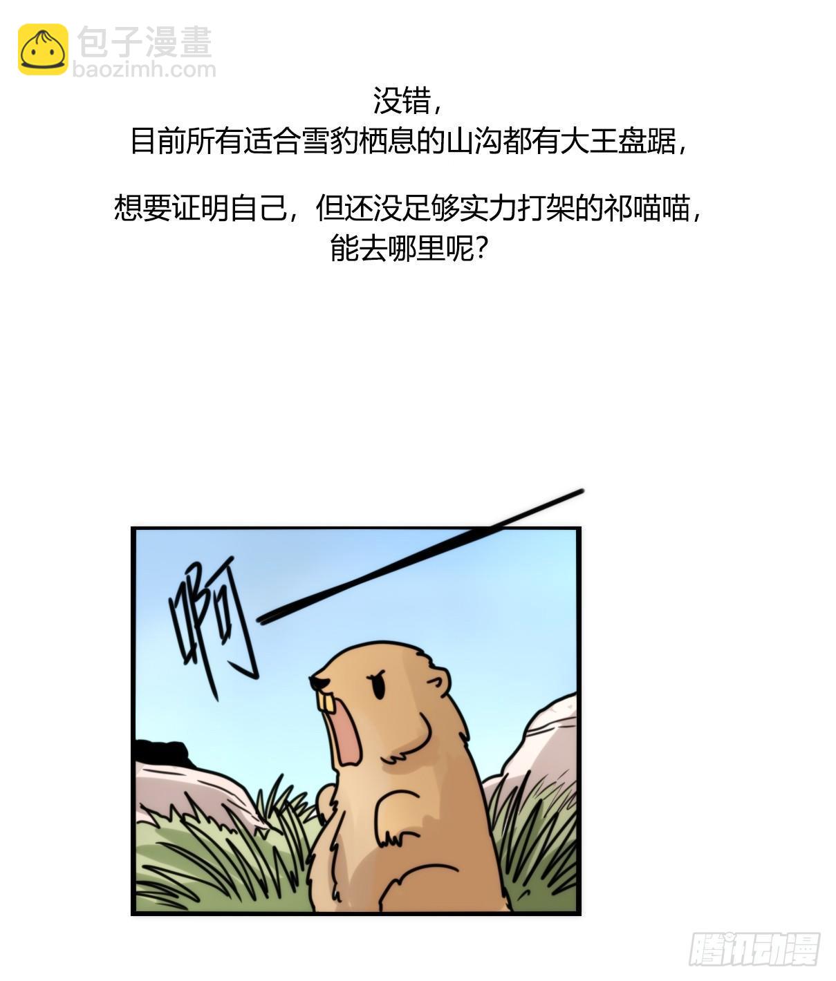 事业篇10：雪豹成为偶像！-4-第167话