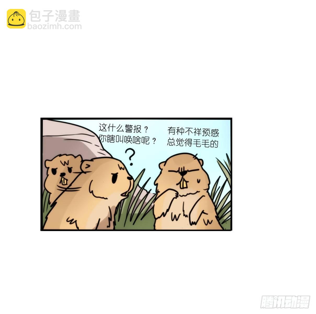 事业篇10：雪豹成为偶像！-4-第167话