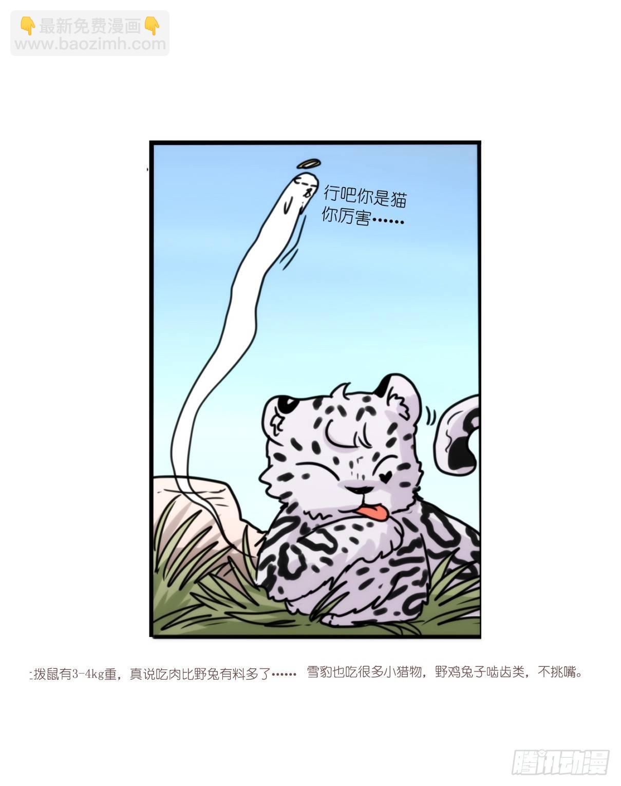 事业篇10：雪豹成为偶像！-4-第167话