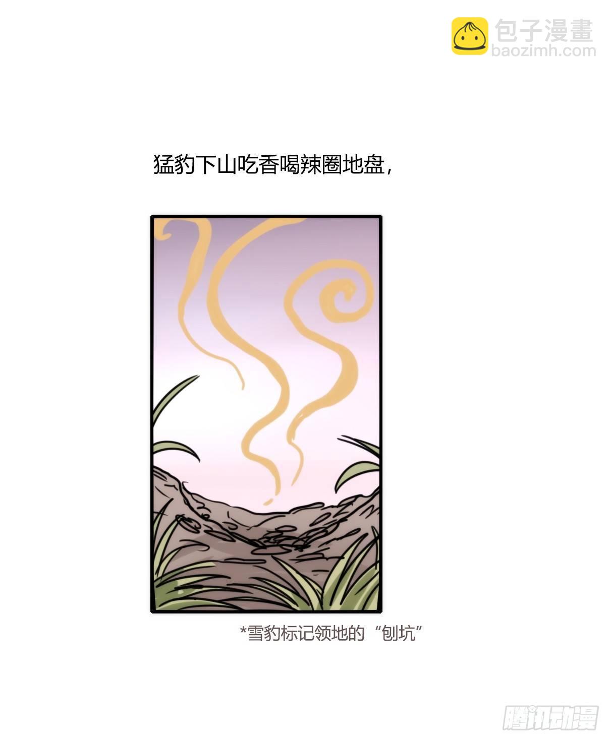 事业篇10：雪豹成为偶像！-4-第167话