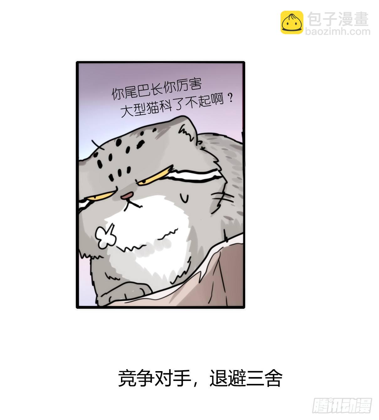 事业篇10：雪豹成为偶像！-4-第167话