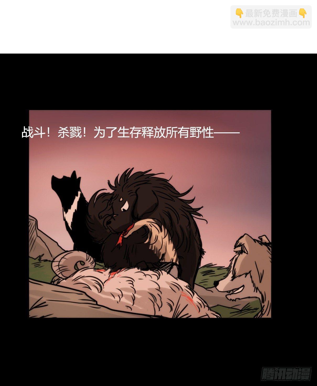 事业篇10：雪豹成为偶像！-4-第167话