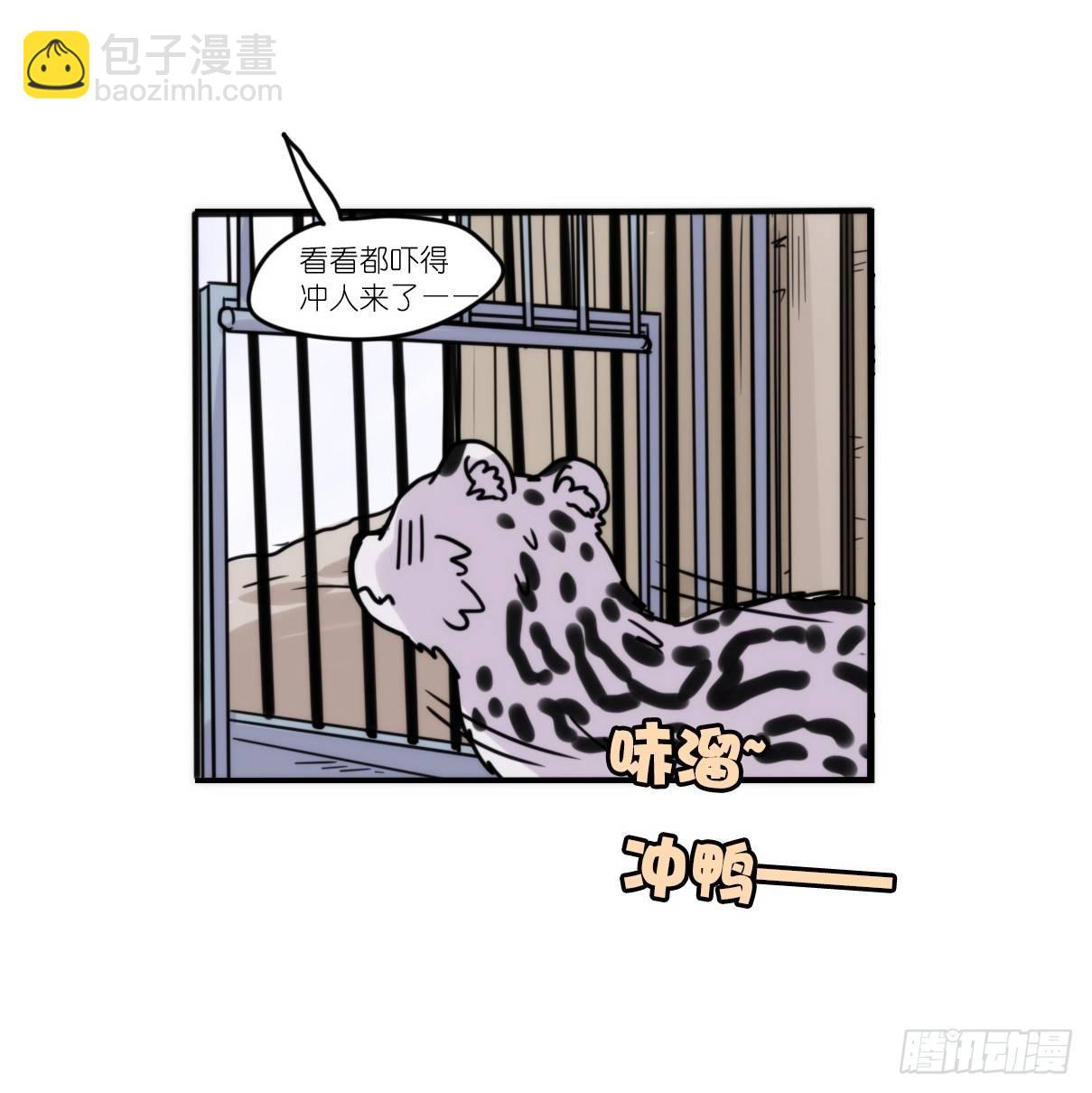 事业篇10：雪豹成为偶像！-4-第167话