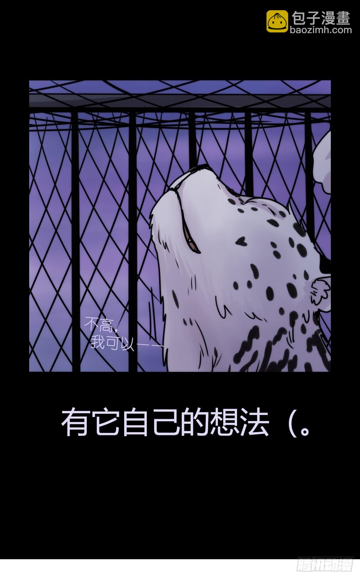 事业篇12：雪豹成为偶像！06(1/2)-第169话