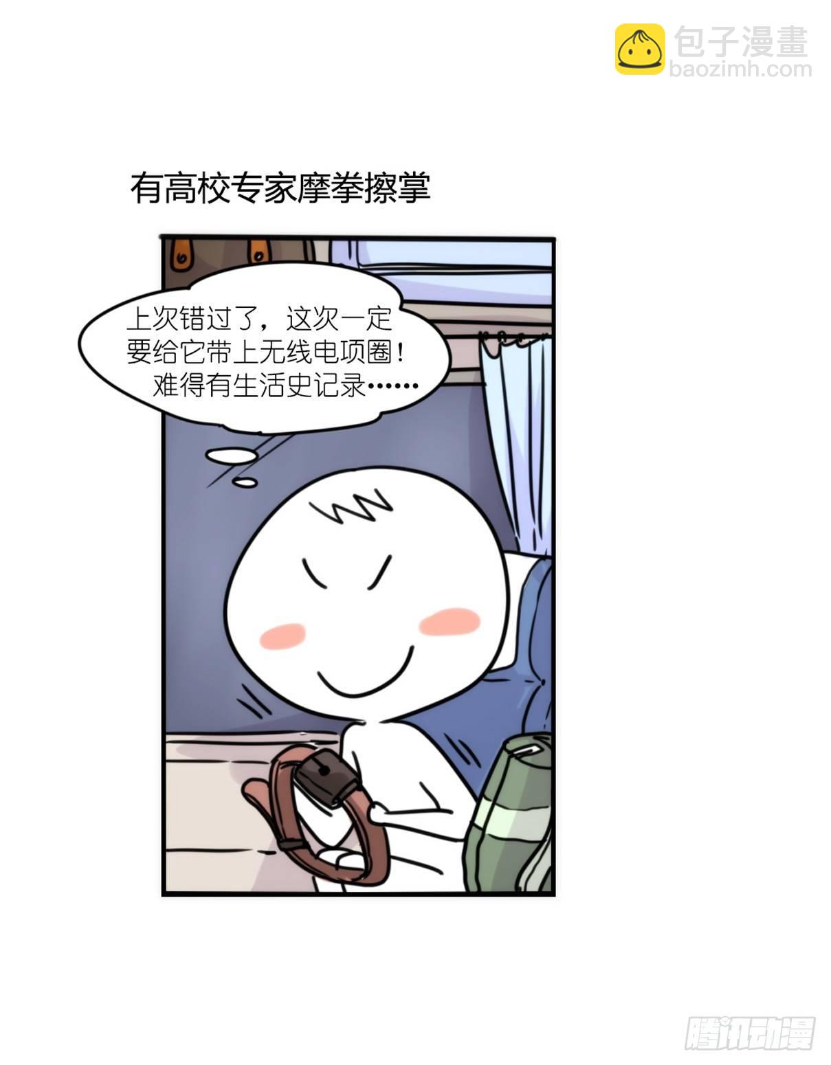 事业篇12：雪豹成为偶像！06(1/2)-第169话