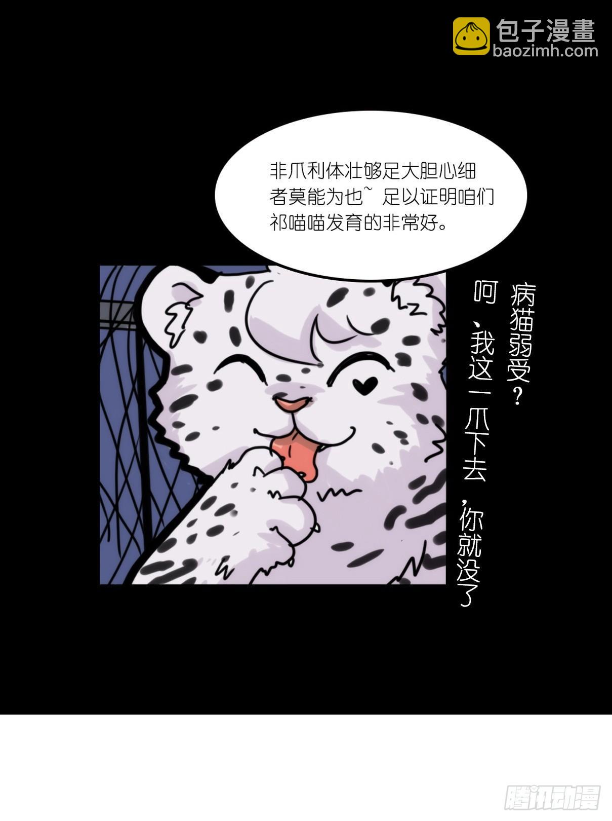 事业篇12：雪豹成为偶像！06(1/2)-第169话