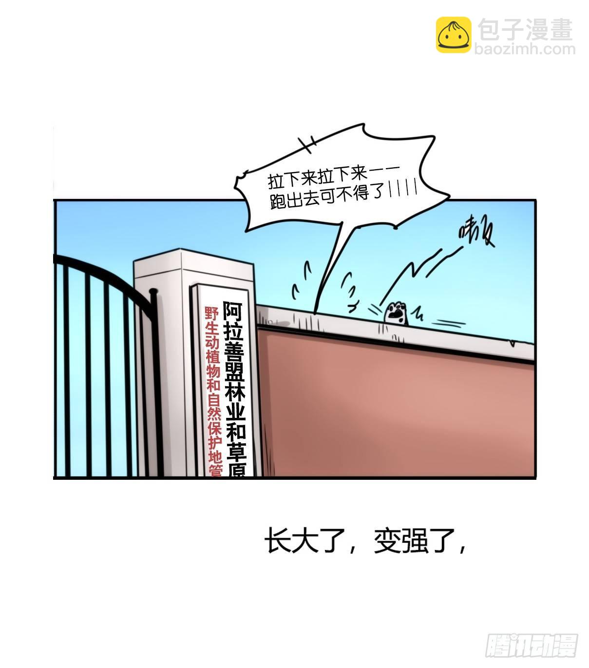 事业篇12：雪豹成为偶像！06(1/2)-第169话