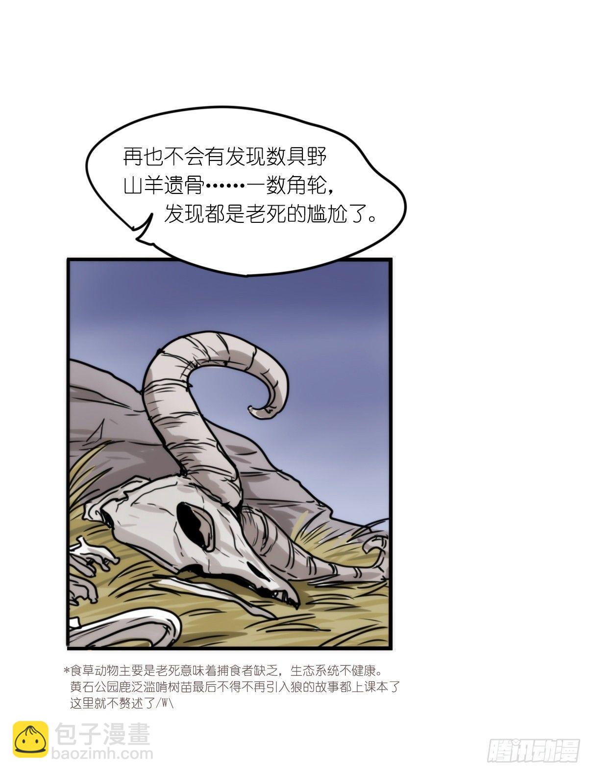 事业篇12：雪豹成为偶像！06(1/2)-第169话