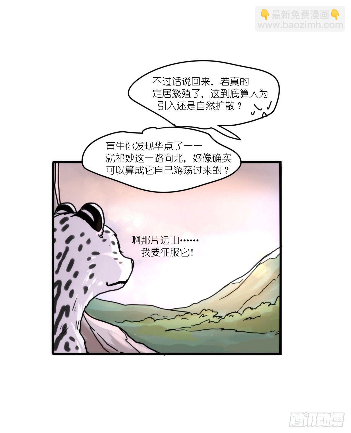 事业篇12：雪豹成为偶像！06(1/2)-第169话