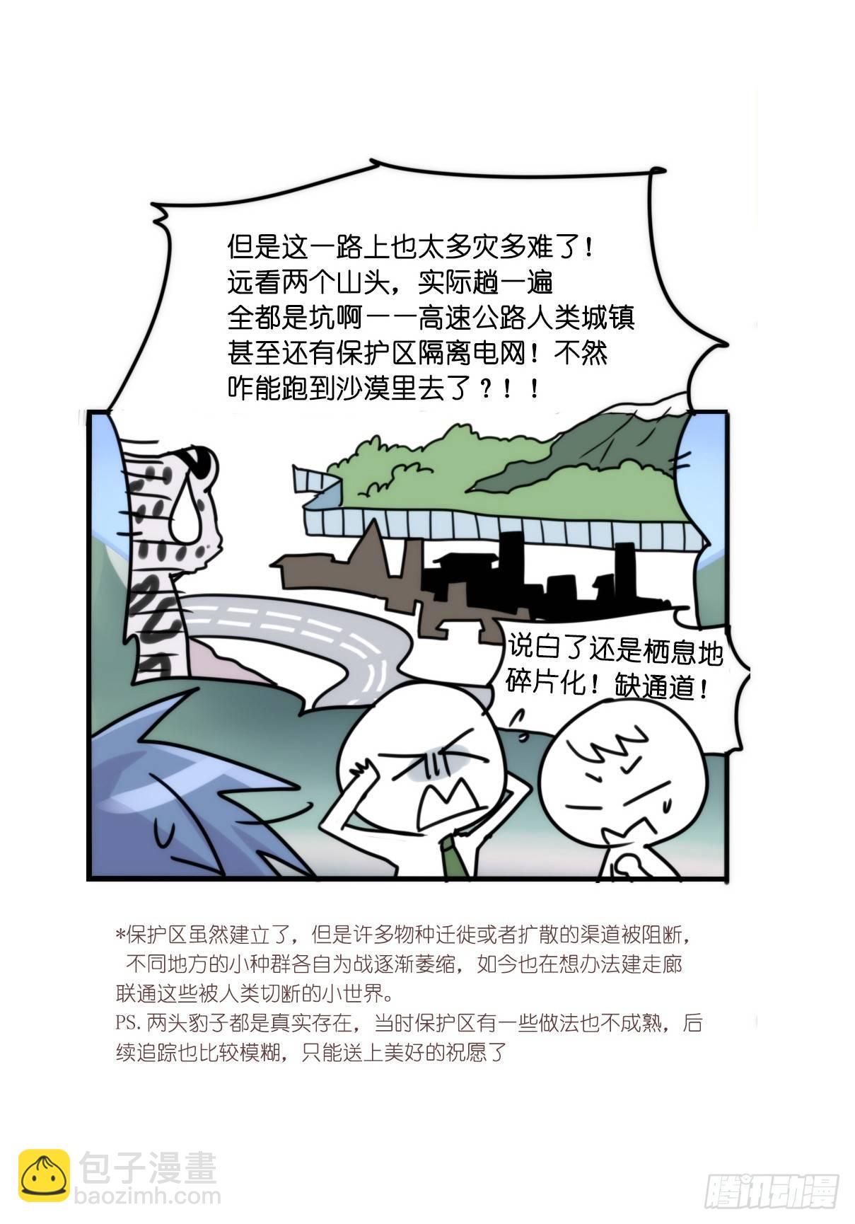 事业篇12：雪豹成为偶像！06(1/2)-第169话
