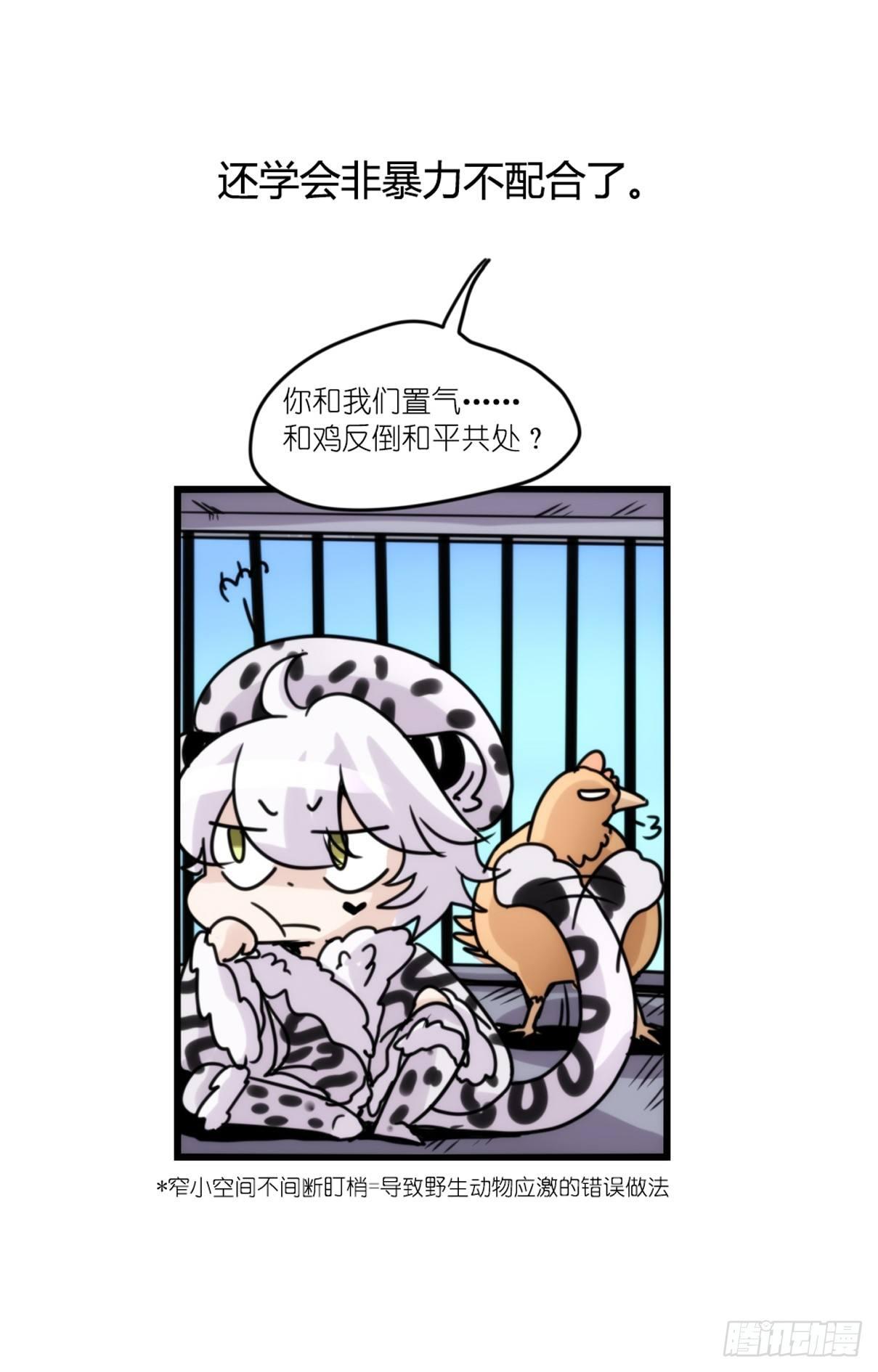 事业篇12：雪豹成为偶像！06(1/2)-第169话