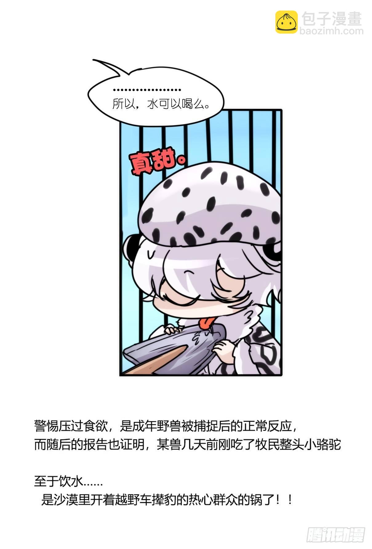事业篇12：雪豹成为偶像！06(1/2)-第169话