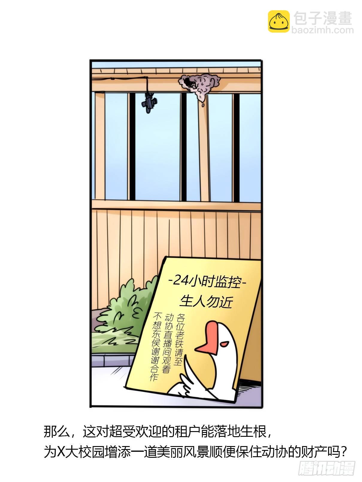 事业篇14：微型保卫战&middot;中-第171话