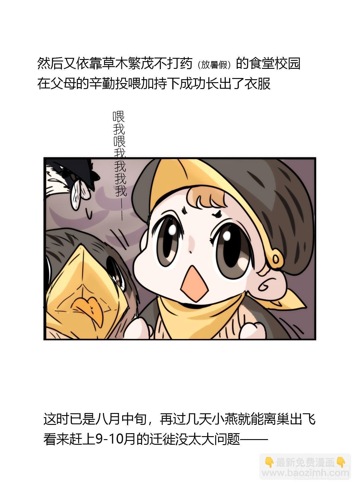 事业篇14：微型保卫战&middot;中-第171话