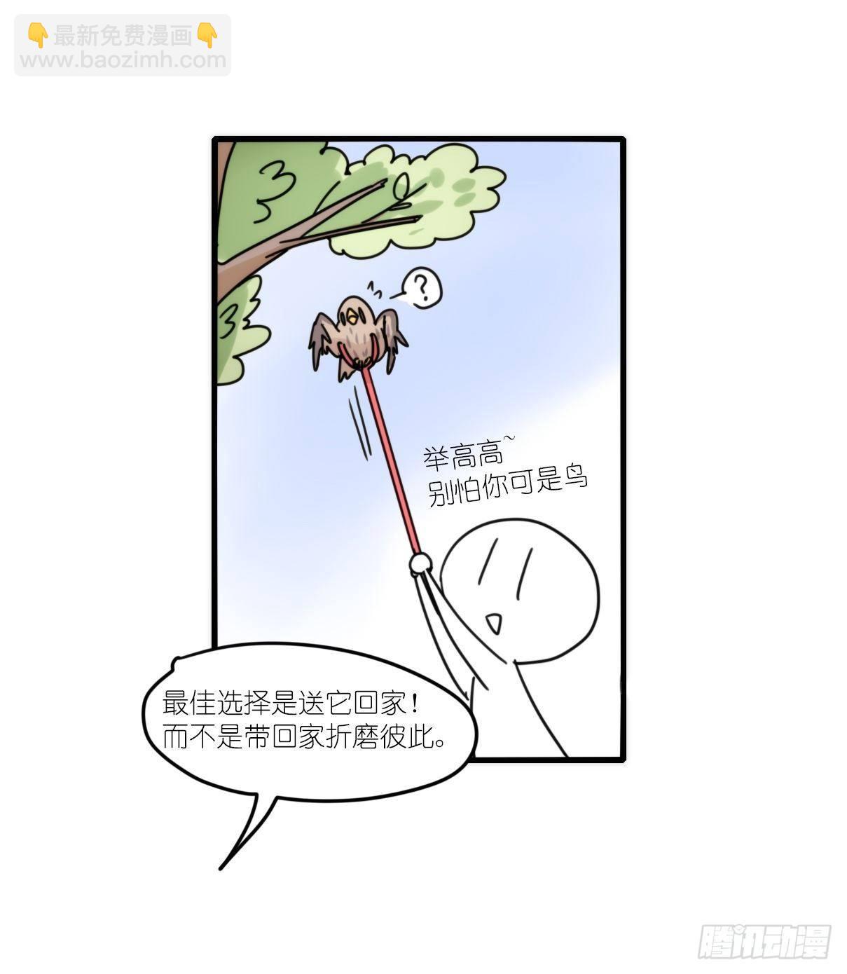 事业篇15：微型保卫战&middot;下-第173话