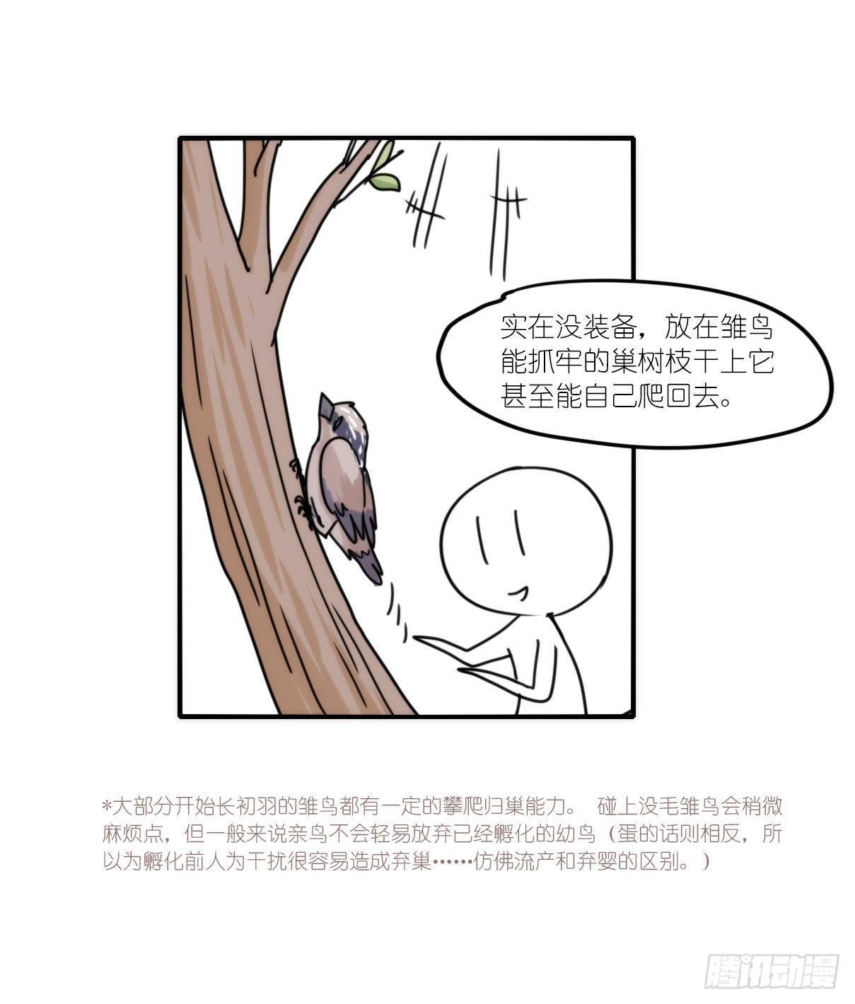 事业篇15：微型保卫战&middot;下-第173话