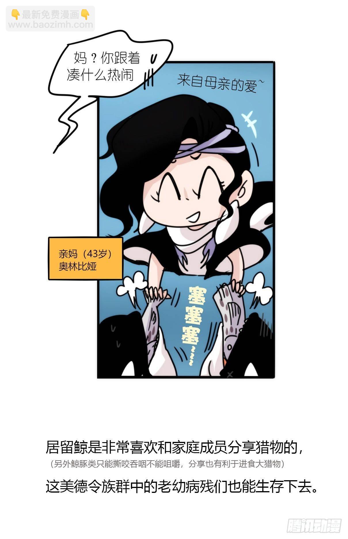 虎鲸篇：这些杀手不太冷02-第175话