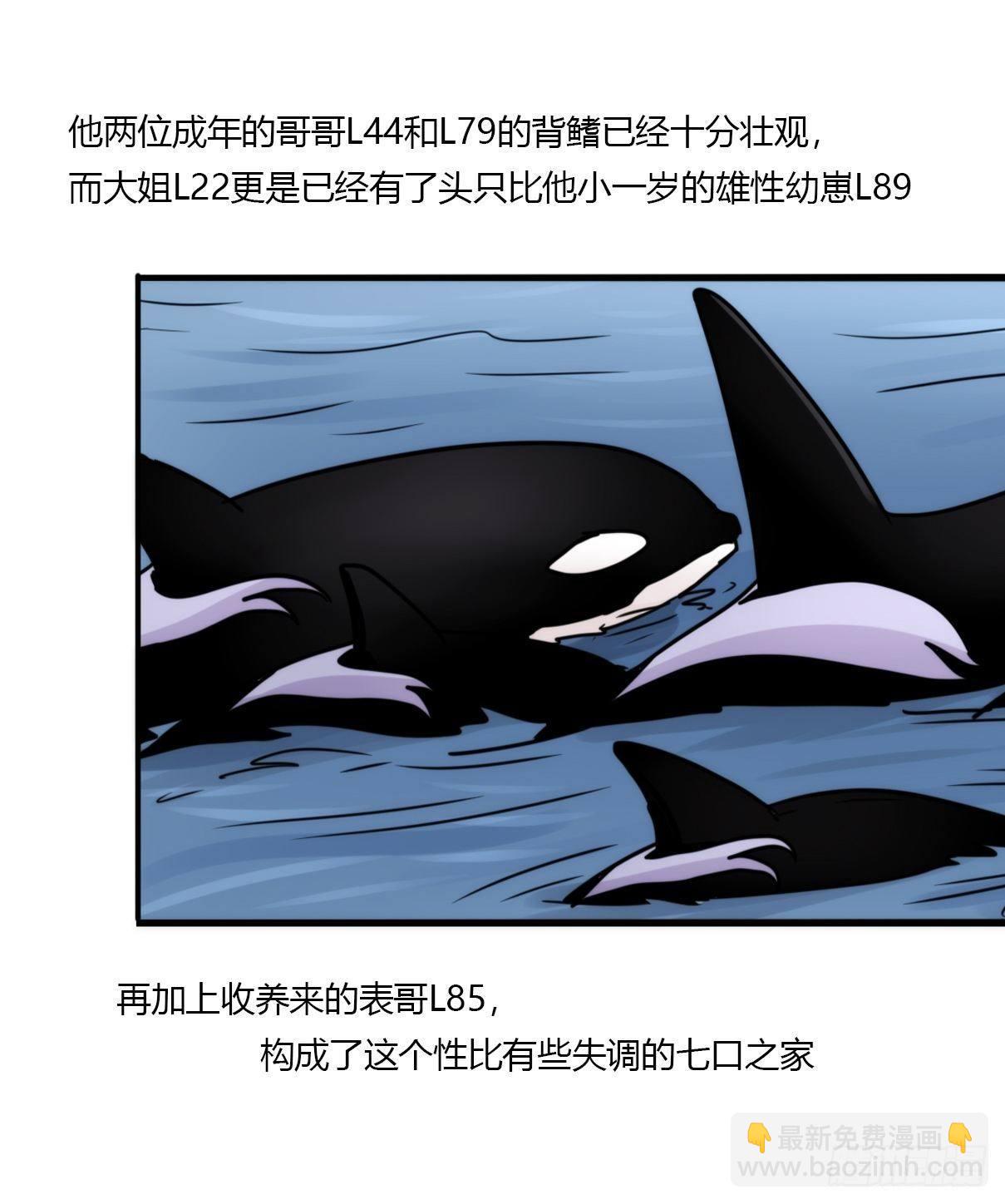 虎鲸篇：这些杀手不太冷02-第175话