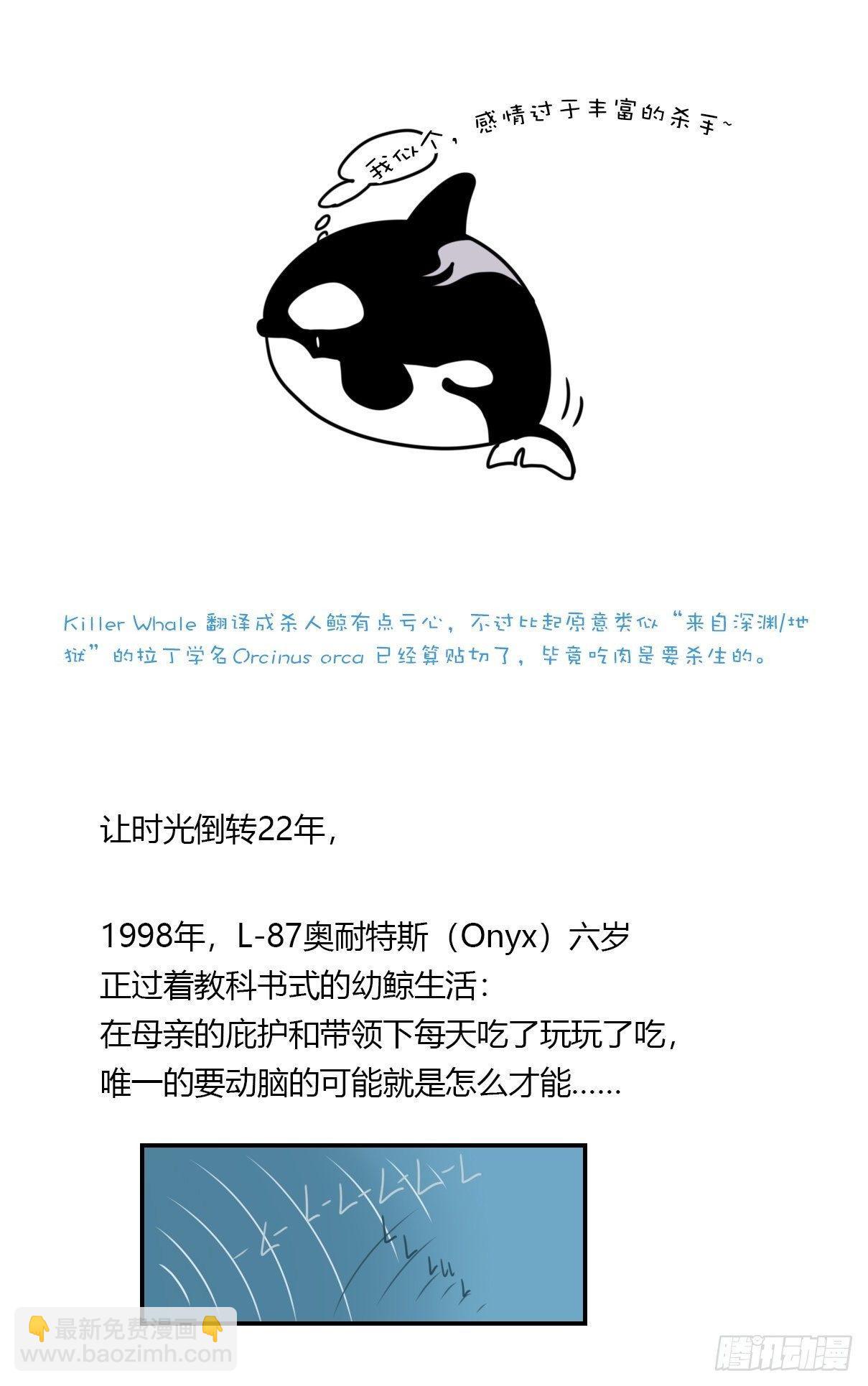 虎鲸篇：这些杀手不太冷02-第175话