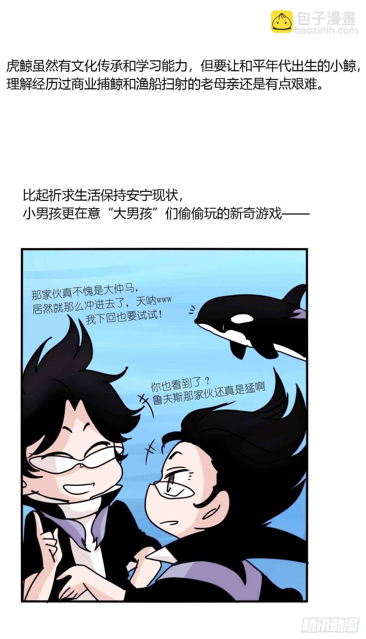 虎鲸篇：这些杀手不太冷02-第175话
