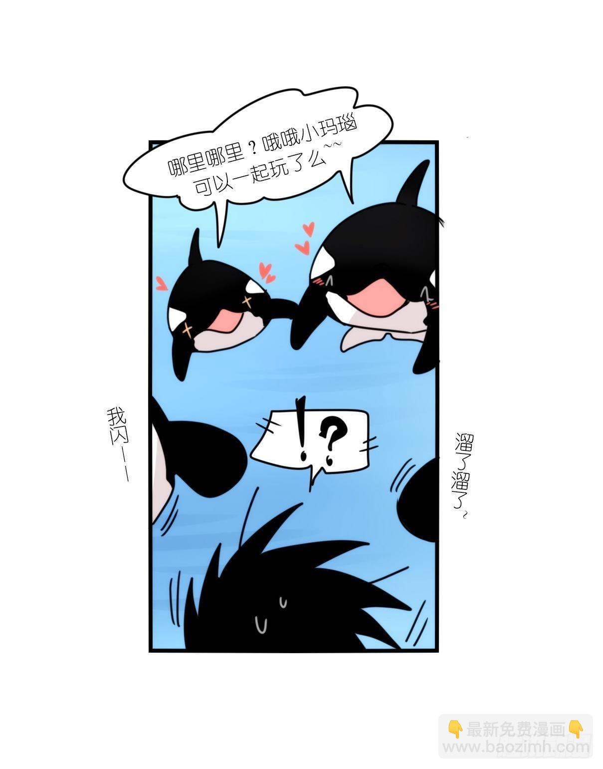 虎鲸篇：这些杀手不太冷02-第175话