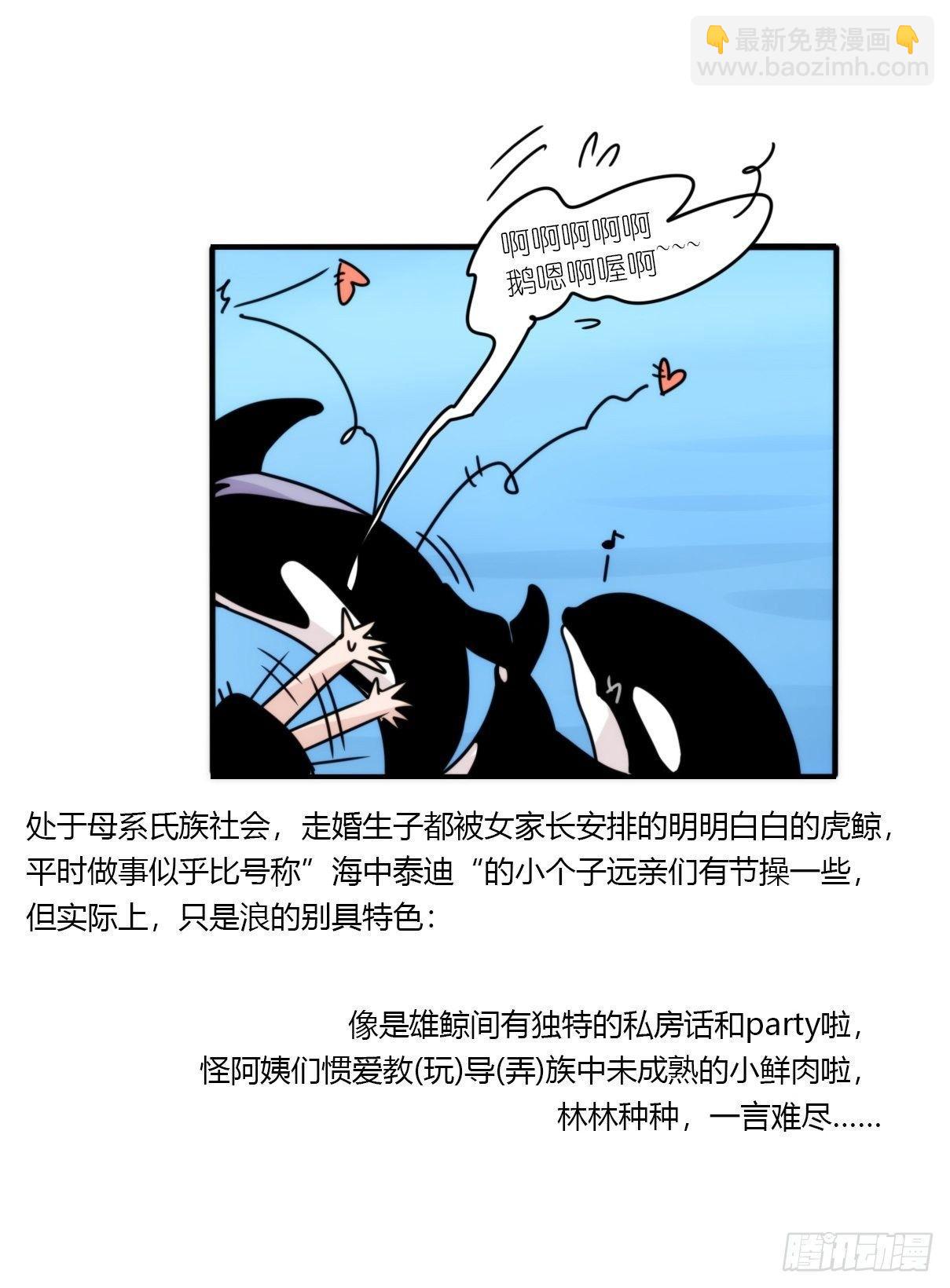 虎鲸篇：这些杀手不太冷02-第175话