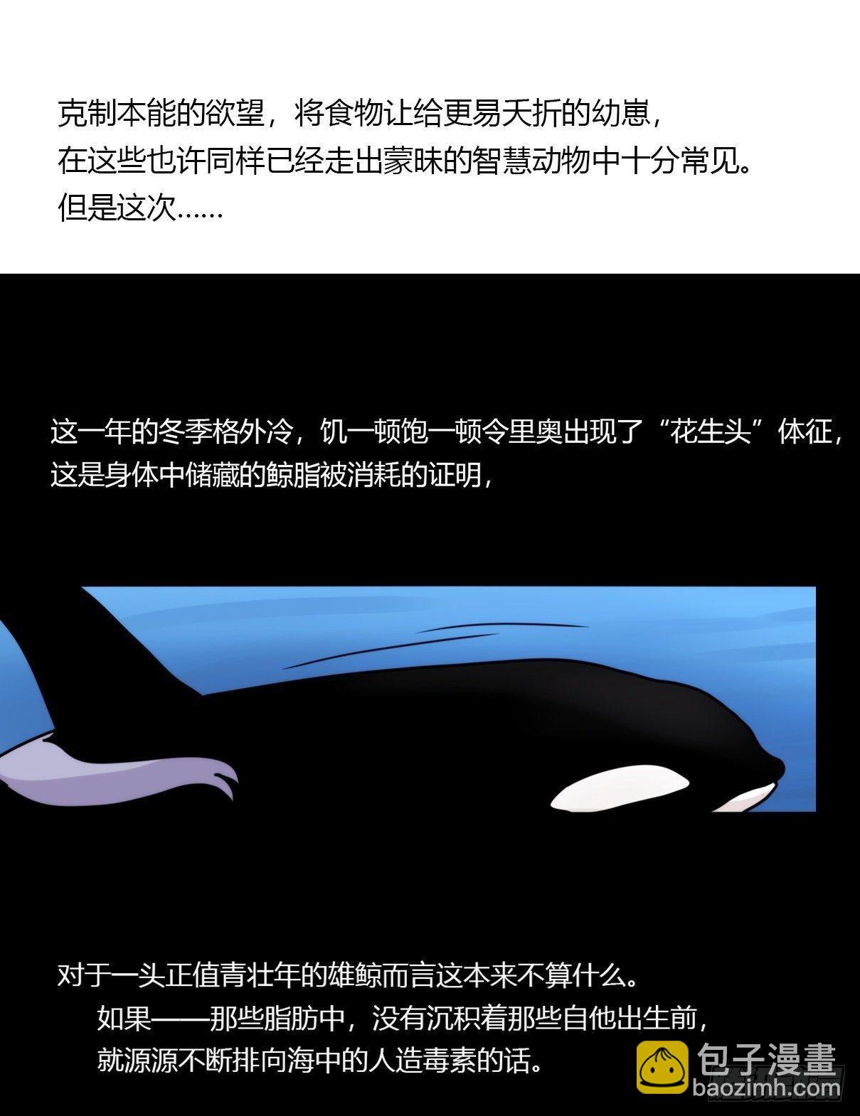虎鲸篇：这些杀手不太冷02-第175话