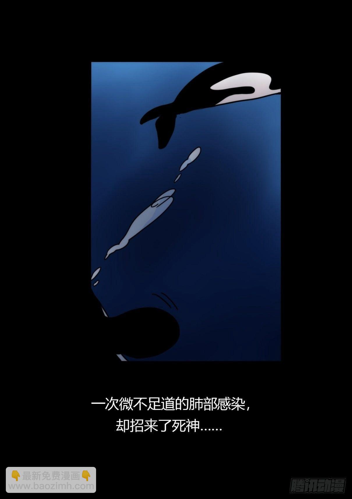 虎鲸篇：这些杀手不太冷02-第175话