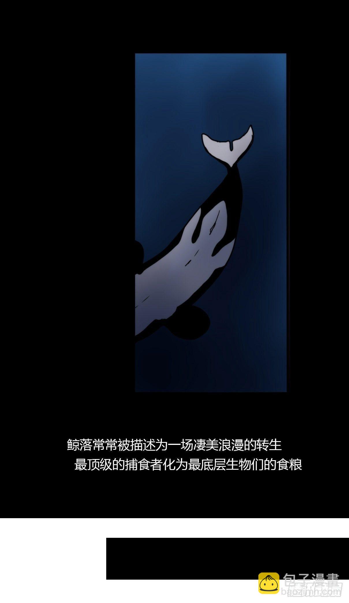 虎鲸篇：这些杀手不太冷02-第175话