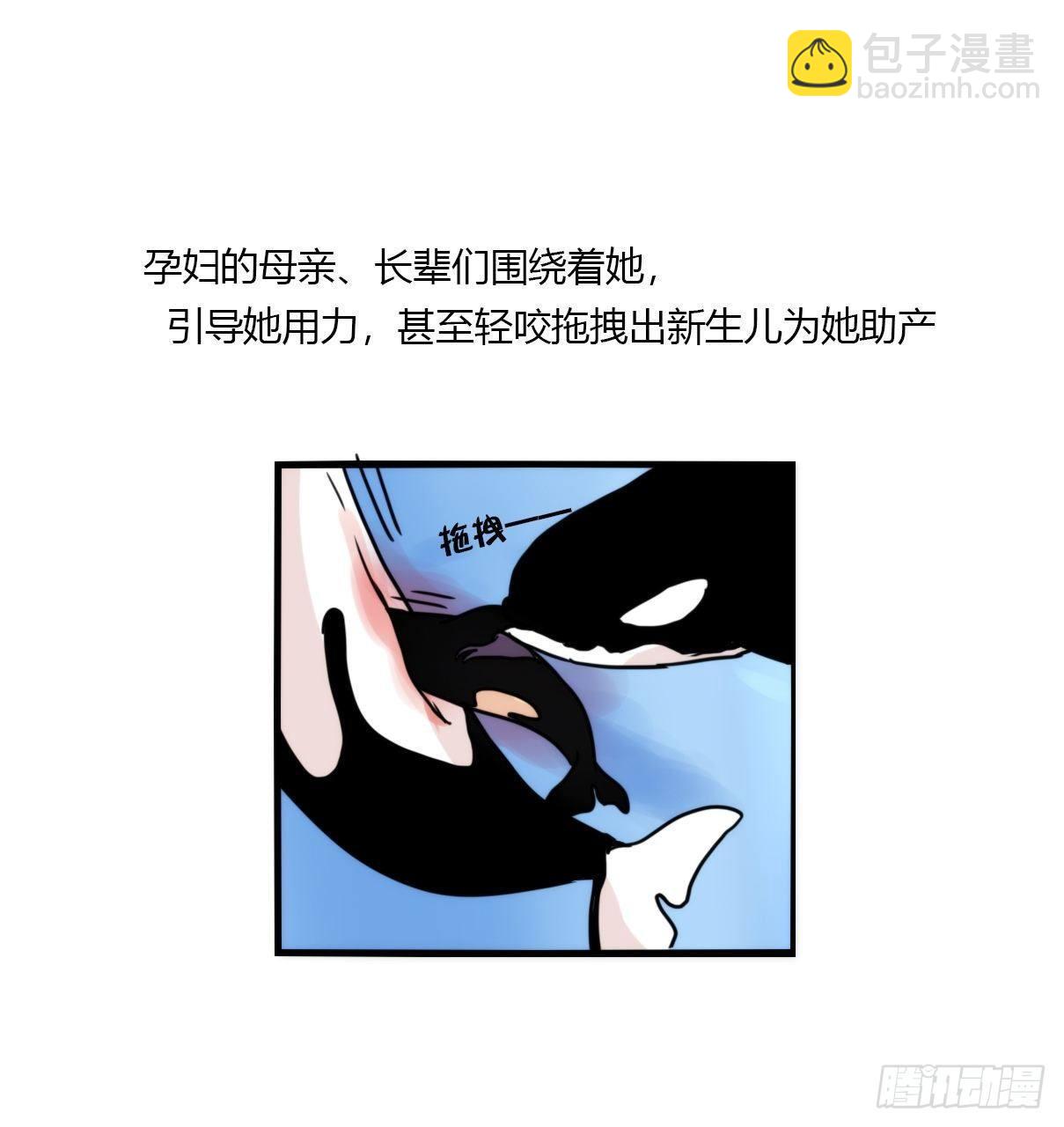 虎鲸篇：这些杀手不太冷02-第175话