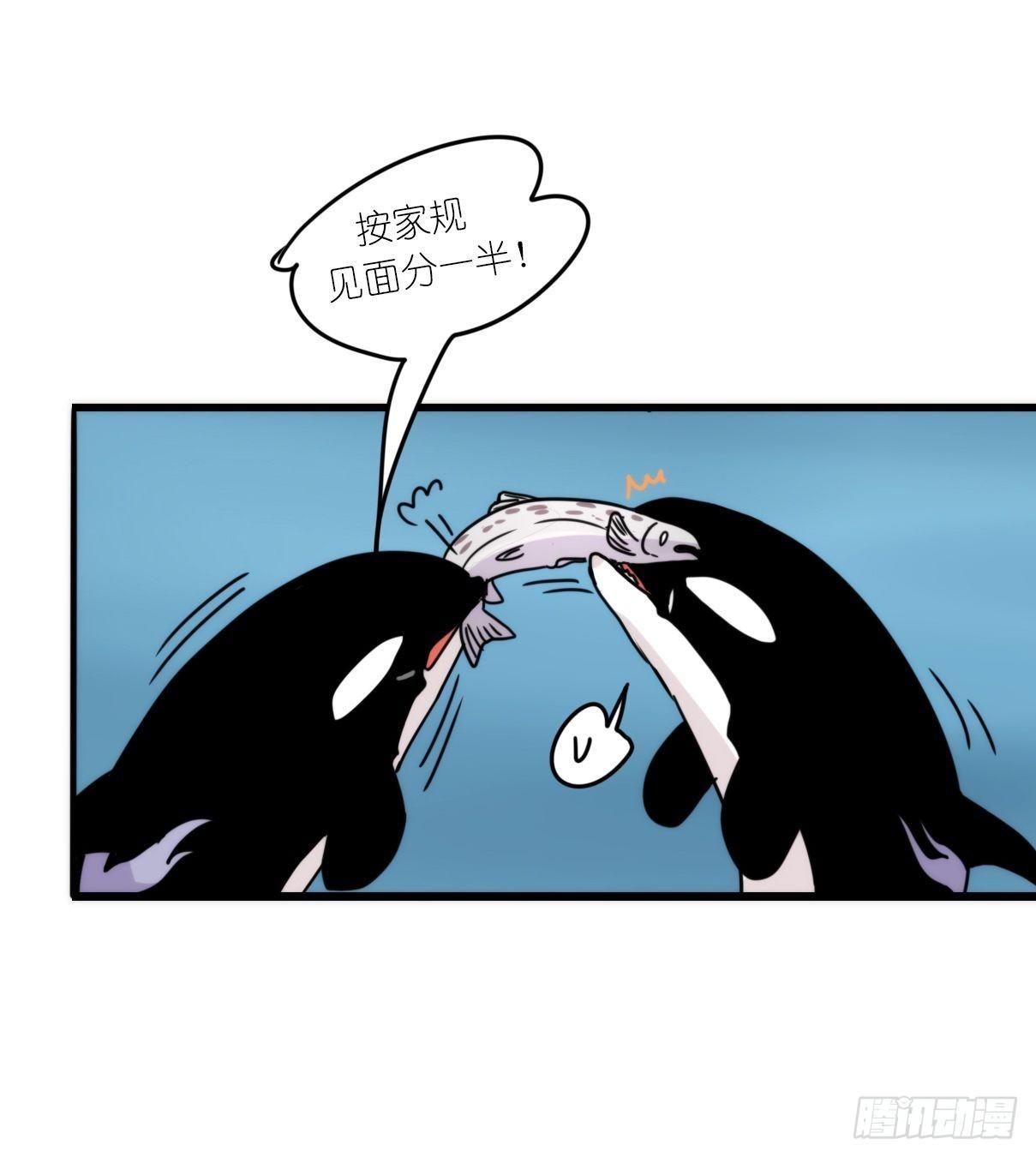 虎鲸篇：这些杀手不太冷02-第175话