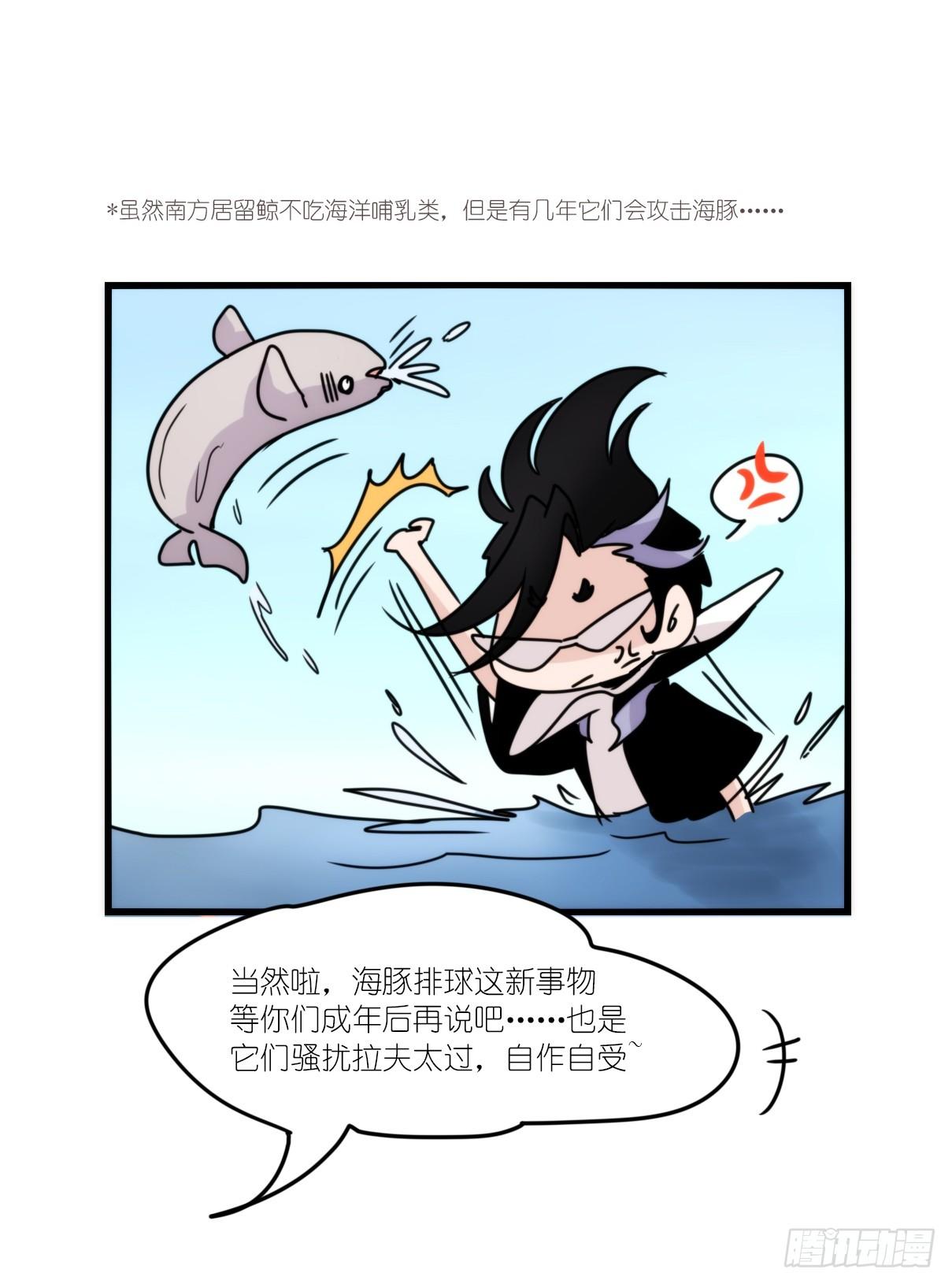 虎鲸篇：这些杀手不太冷04-第177话
