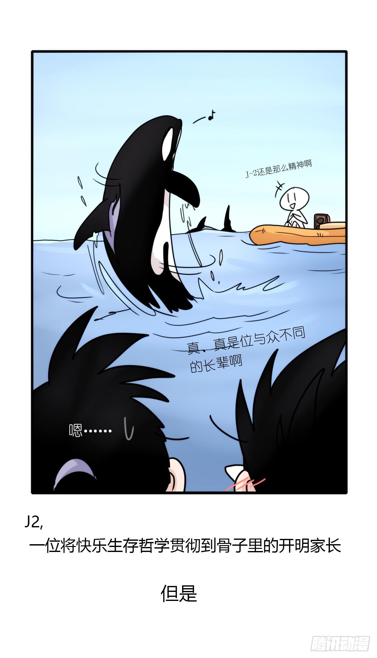 虎鲸篇：这些杀手不太冷04-第177话