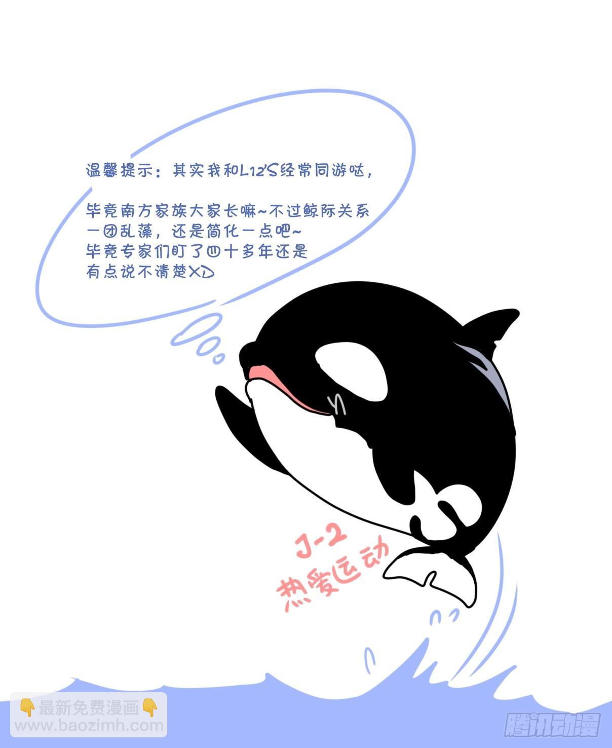 虎鲸篇：这些杀手不太冷04-第177话
