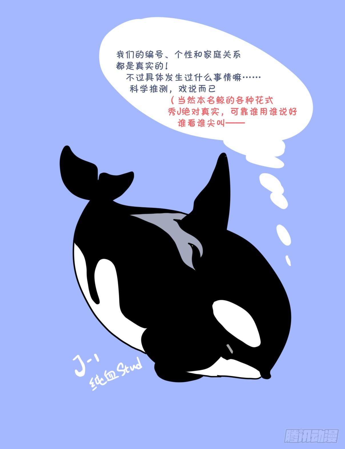 虎鲸篇：这些杀手不太冷04-第177话