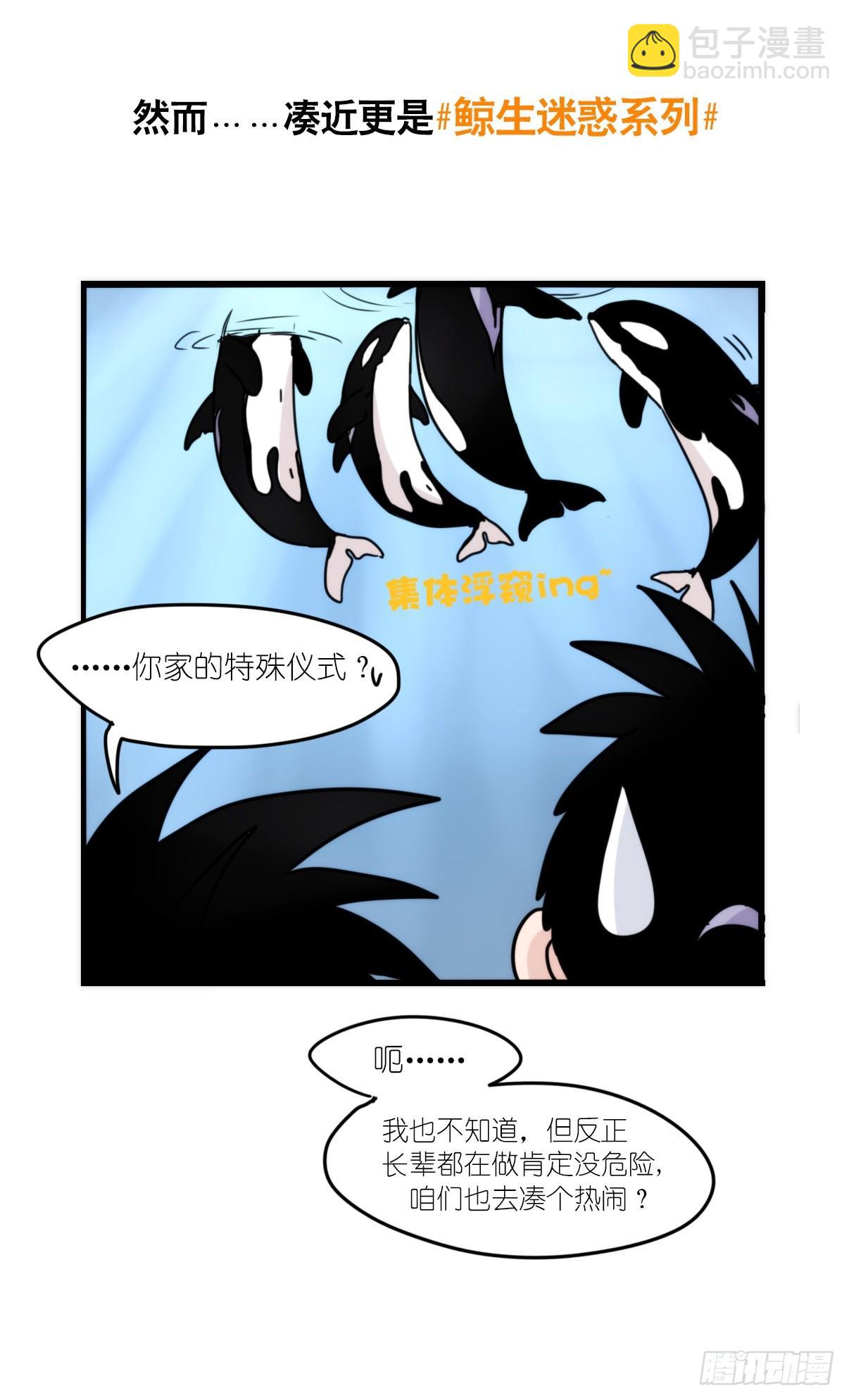 虎鲸篇：这些杀手不太冷04-第177话