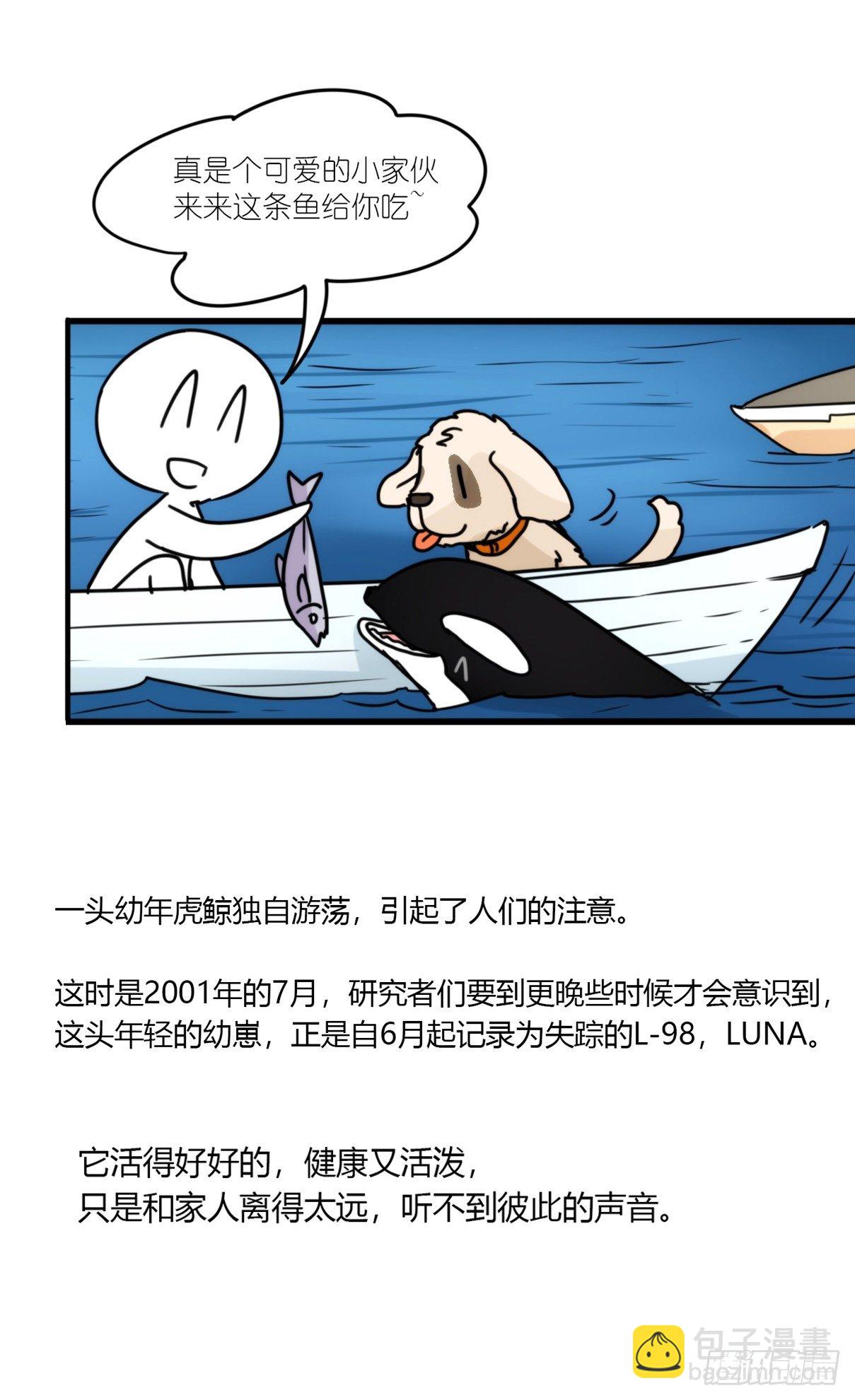 虎鲸篇：这些杀手不太冷06(1/2)-第179话