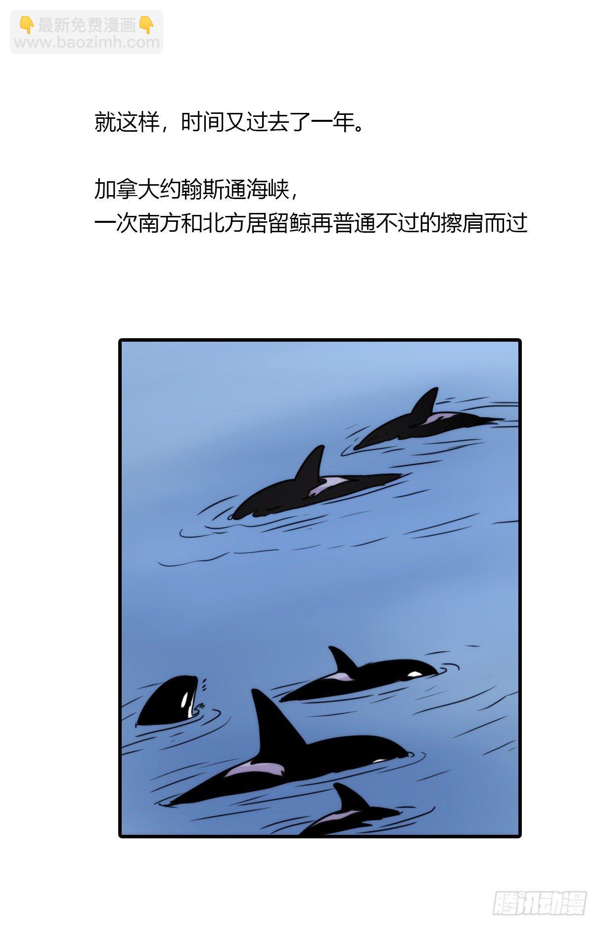 虎鲸篇：这些杀手不太冷06(1/2)-第179话