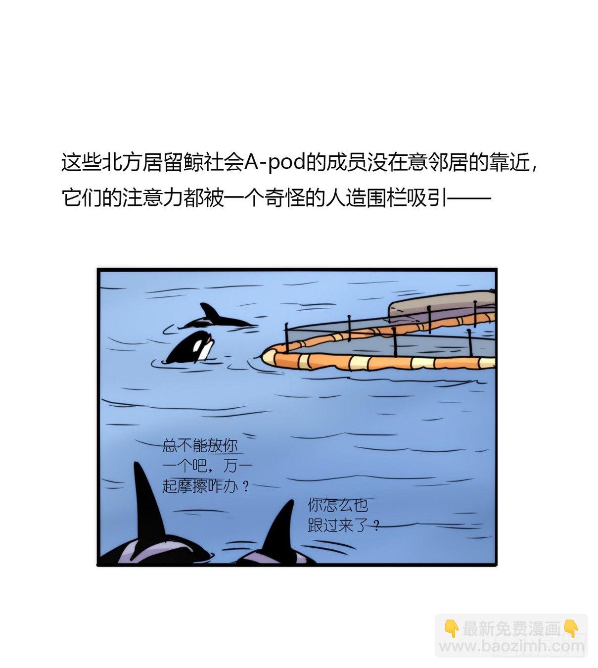 虎鲸篇：这些杀手不太冷06(1/2)-第179话