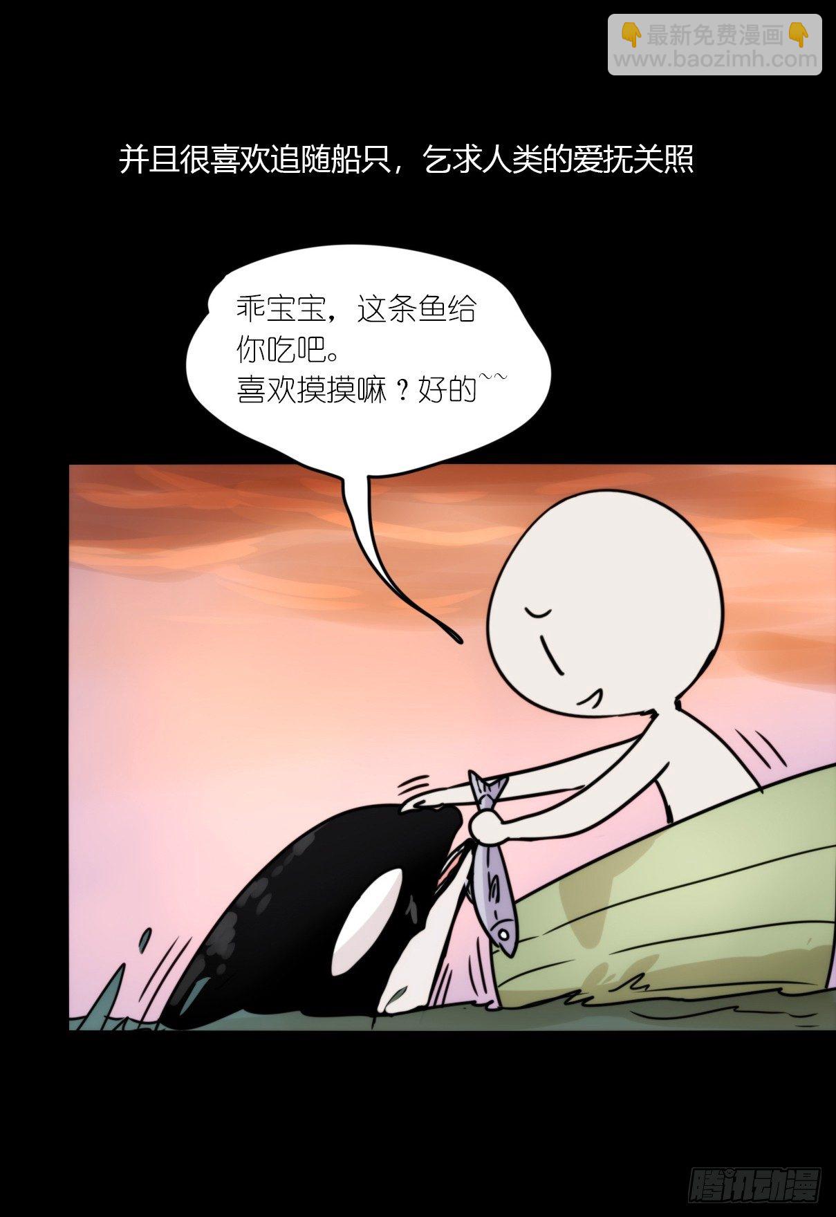 虎鲸篇：这些杀手不太冷06(1/2)-第179话