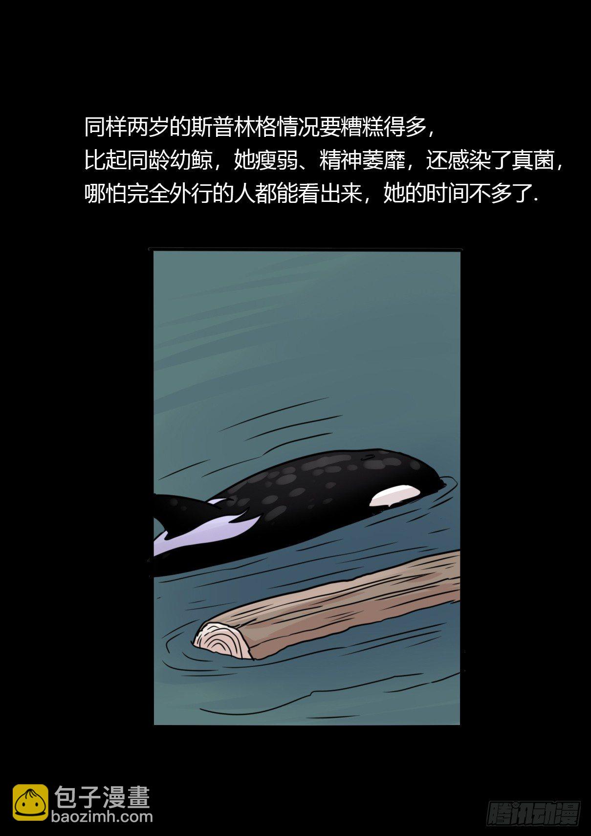 虎鲸篇：这些杀手不太冷06(1/2)-第179话