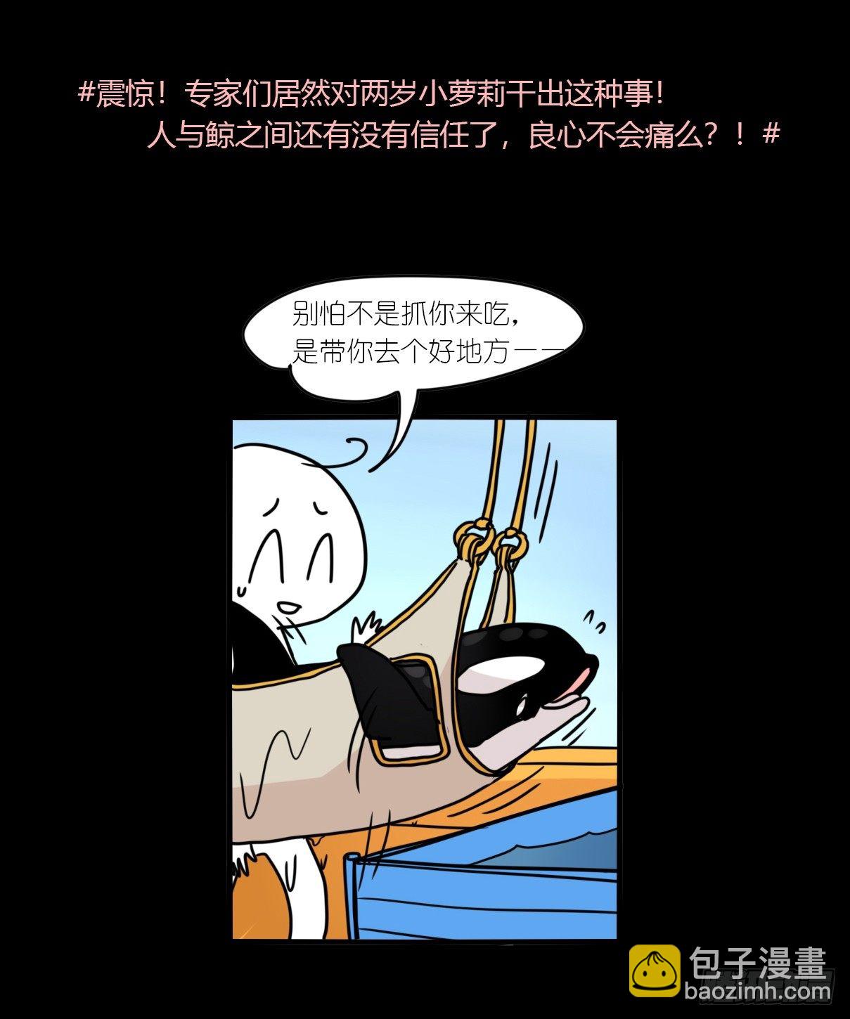 虎鲸篇：这些杀手不太冷06(1/2)-第179话