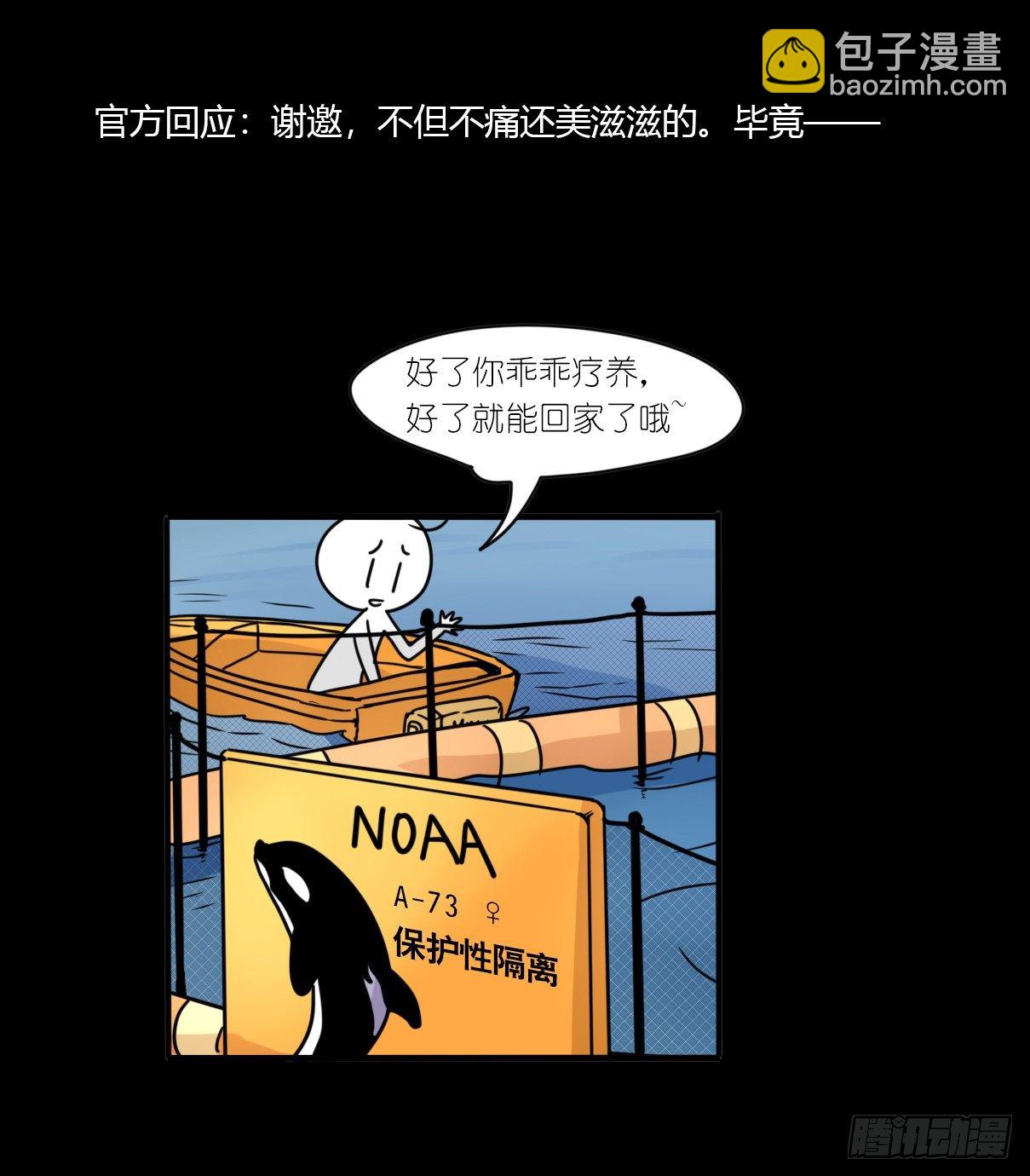 虎鲸篇：这些杀手不太冷06(1/2)-第179话