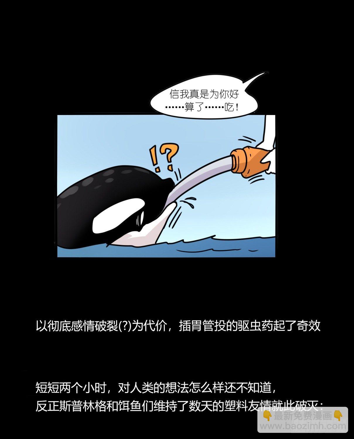 虎鲸篇：这些杀手不太冷06(1/2)-第179话