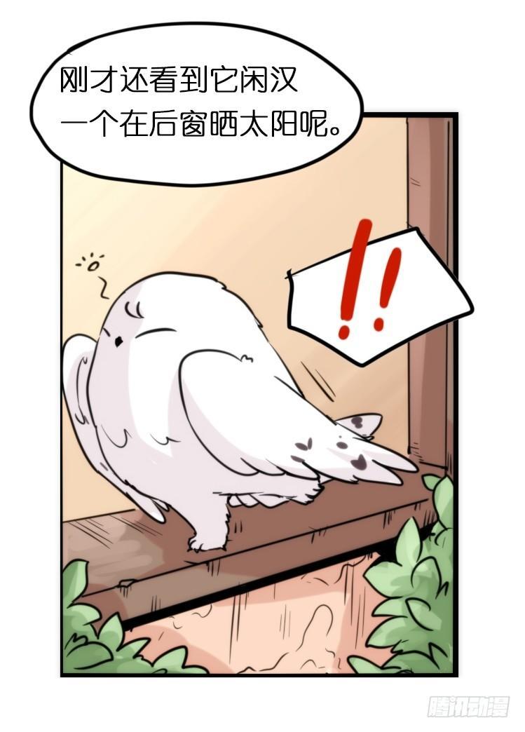飞吧小少爷：再相逢-第19话