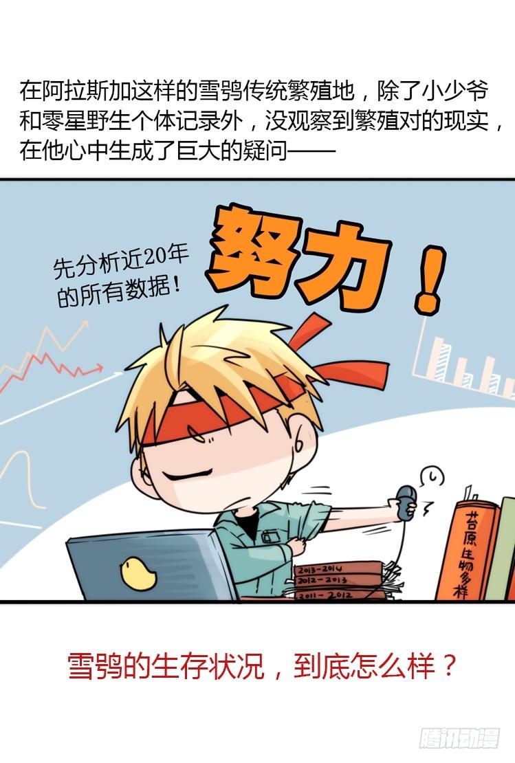 飞吧小少爷：再相逢-第19话