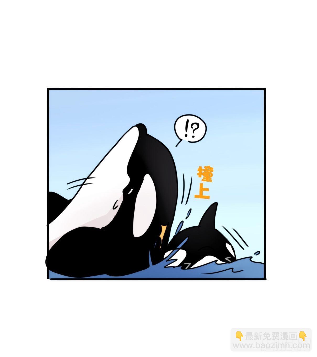 虎鲸篇：这些杀手不太冷08(1/2)-第181话