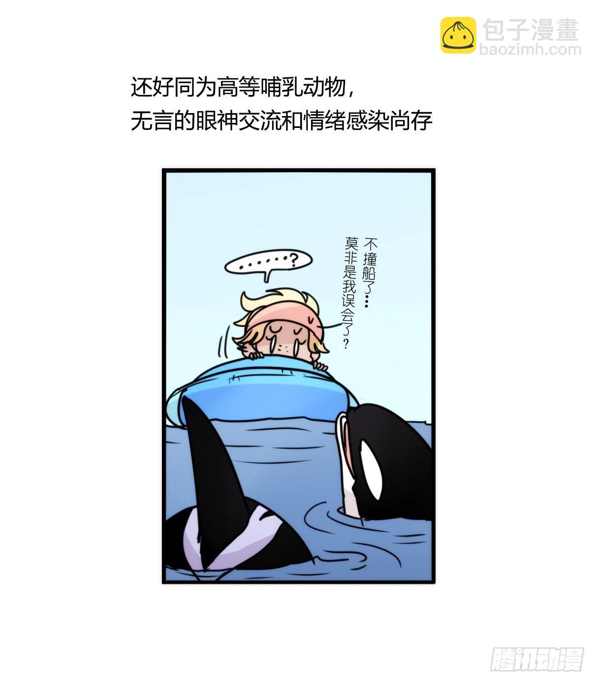 虎鲸篇：这些杀手不太冷10-第183话