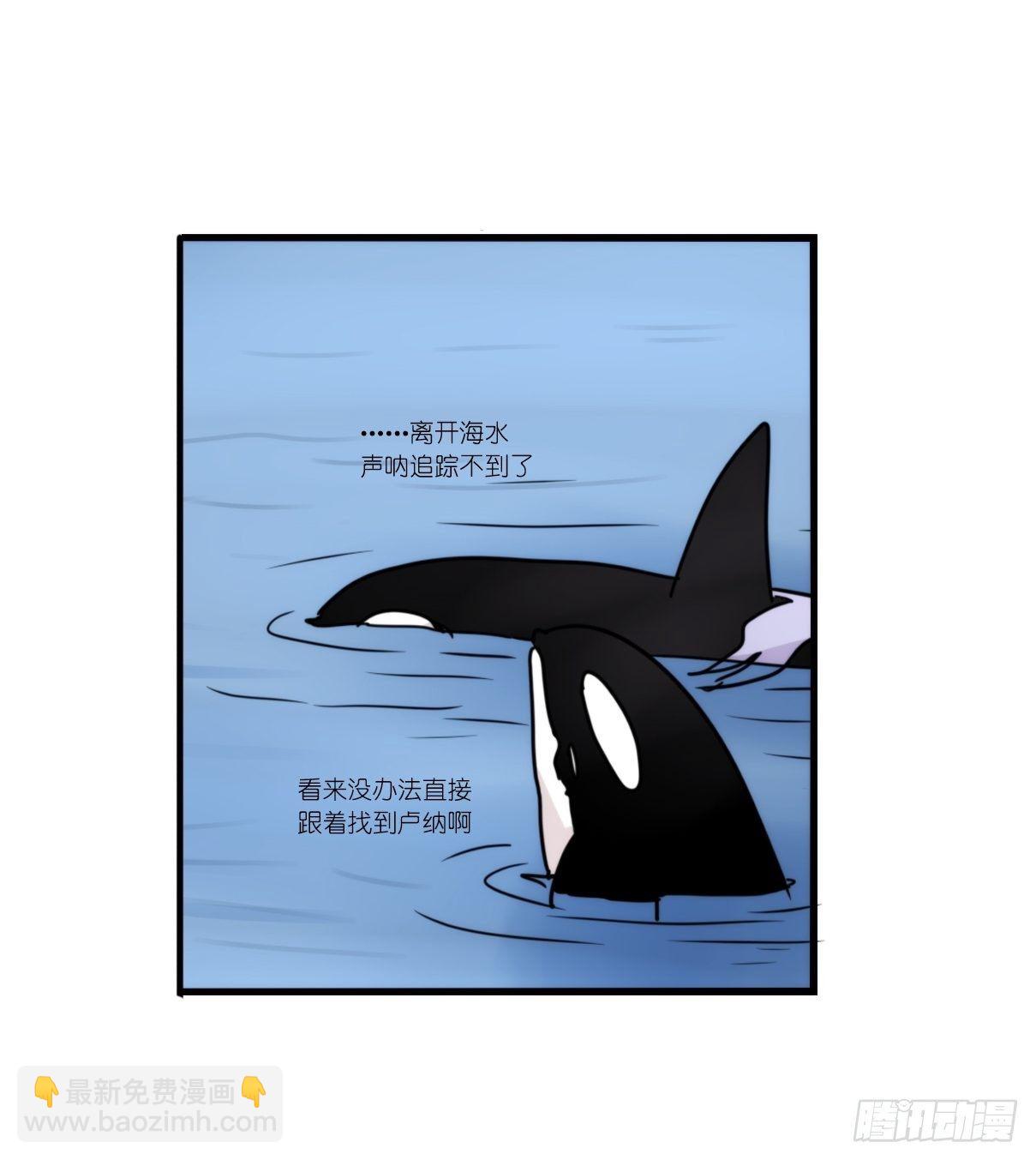 虎鲸篇：这些杀手不太冷10-第183话